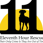 Our Newest Charity: Eleventh Hour Rescue